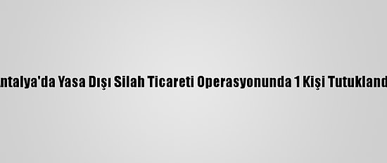 Antalya'da Yasa Dışı Silah Ticareti Operasyonunda 1 Kişi Tutuklandı