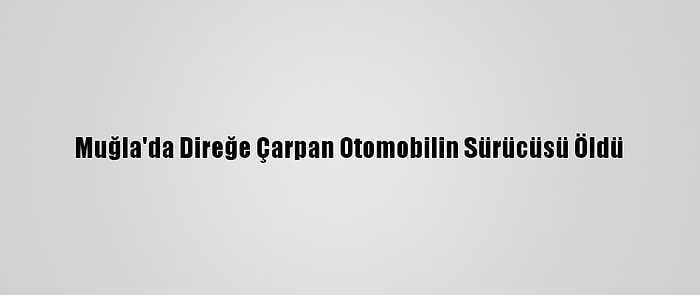 Muğla'da Direğe Çarpan Otomobilin Sürücüsü Öldü