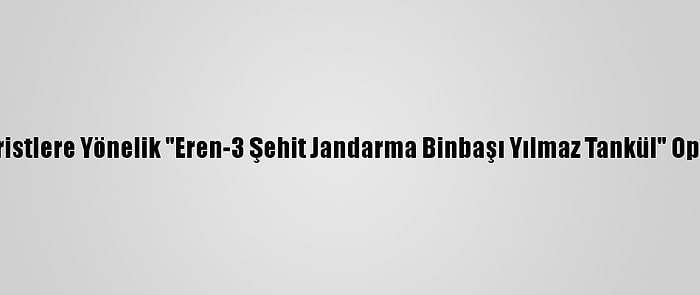 Erzincan'da Teröristlere Yönelik "Eren-3 Şehit Jandarma Binbaşı Yılmaz Tankül" Operasyonu Yapıldı