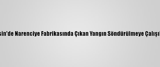 Mersin'de Narenciye Fabrikasında Çıkan Yangın Söndürülmeye Çalışılıyor