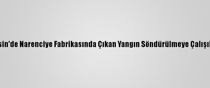 Mersin'de Narenciye Fabrikasında Çıkan Yangın Söndürülmeye Çalışılıyor