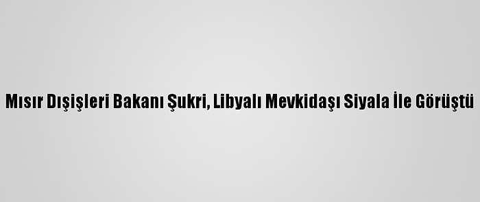 Mısır Dışişleri Bakanı Şukri, Libyalı Mevkidaşı Siyala İle Görüştü