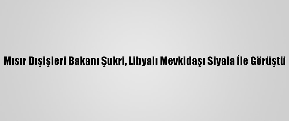 Mısır Dışişleri Bakanı Şukri, Libyalı Mevkidaşı Siyala İle Görüştü