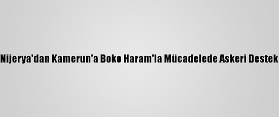 Nijerya'dan Kamerun'a Boko Haram'la Mücadelede Askeri Destek