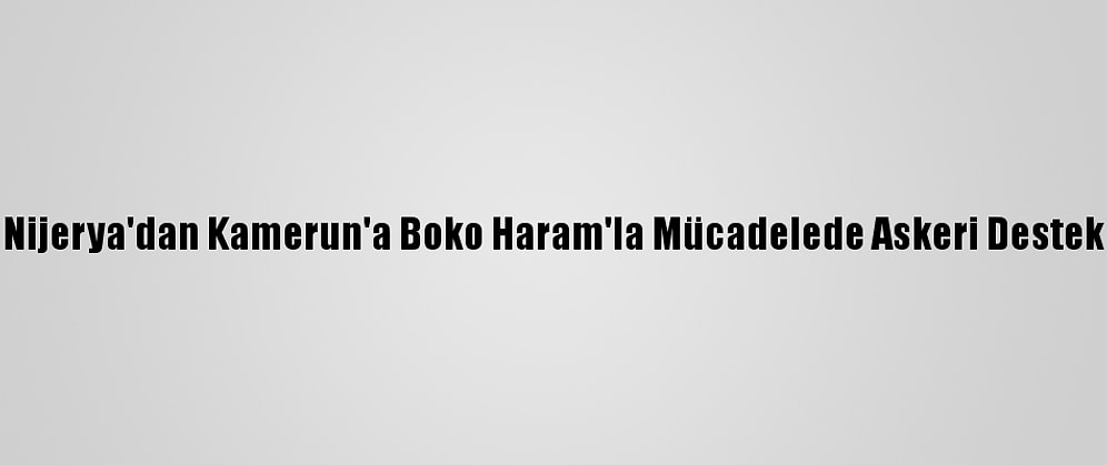 Nijerya'dan Kamerun'a Boko Haram'la Mücadelede Askeri Destek