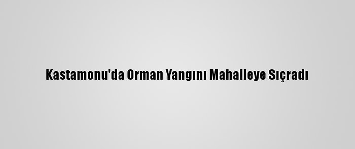 Kastamonu'da Orman Yangını Mahalleye Sıçradı