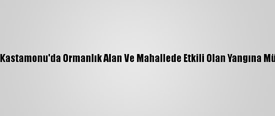 Güncelleme 2 - Kastamonu'da Ormanlık Alan Ve Mahallede Etkili Olan Yangına Müdahale Ediliyor