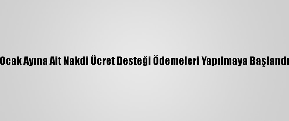 Ocak Ayına Ait Nakdi Ücret Desteği Ödemeleri Yapılmaya Başlandı