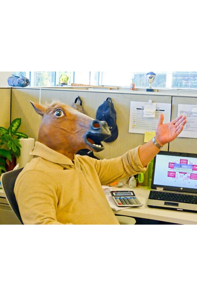 8. HORSE HEAD où vous pouvez faire des vidéos et des photos amusantes 😂