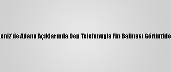 Akdeniz'de Adana Açıklarında Cep Telefonuyla Fin Balinası Görüntülendi