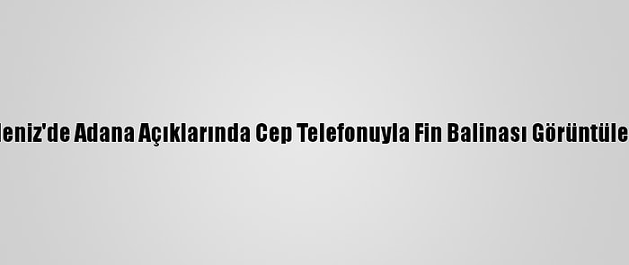 Akdeniz'de Adana Açıklarında Cep Telefonuyla Fin Balinası Görüntülendi