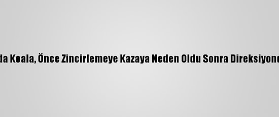 Avustralya'da Koala, Önce Zincirlemeye Kazaya Neden Oldu Sonra Direksiyonda Poz Verdi