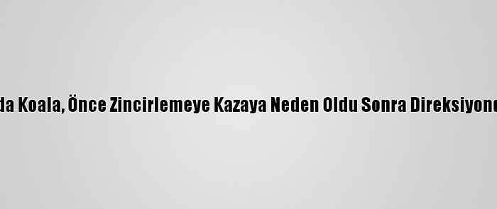 Avustralya'da Koala, Önce Zincirlemeye Kazaya Neden Oldu Sonra Direksiyonda Poz Verdi