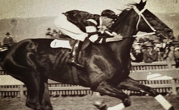 1. 35 yaşındaki jokey Frank Hayes'ın başına gelen bu ölüm, bir at yarışında meydana geliyor.