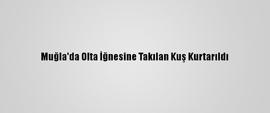 Muğla'da Olta İğnesine Takılan Kuş Kurtarıldı