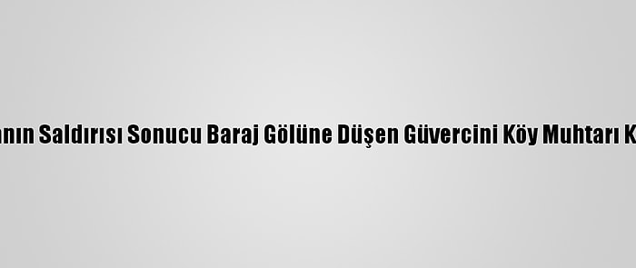 Atmacanın Saldırısı Sonucu Baraj Gölüne Düşen Güvercini Köy Muhtarı Kurtardı