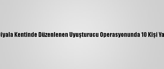 Irak'ın Diyala Kentinde Düzenlenen Uyuşturucu Operasyonunda 10 Kişi Yakalandı