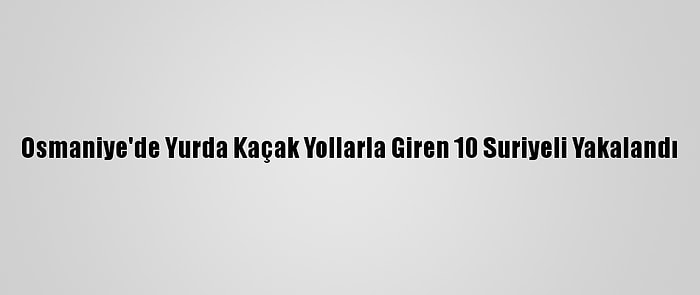 Osmaniye'de Yurda Kaçak Yollarla Giren 10 Suriyeli Yakalandı