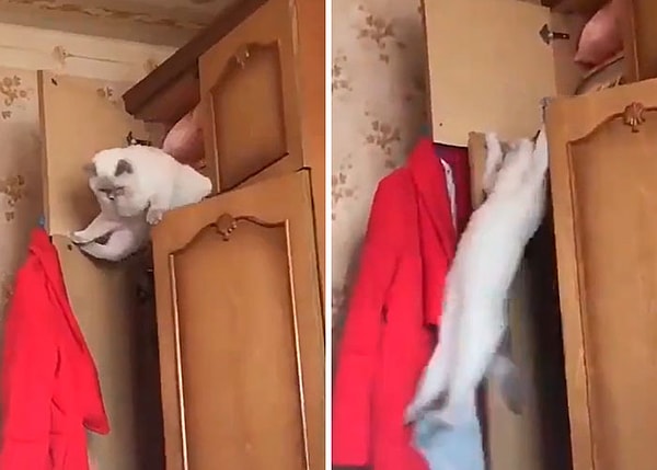 10. Все делают ошибки