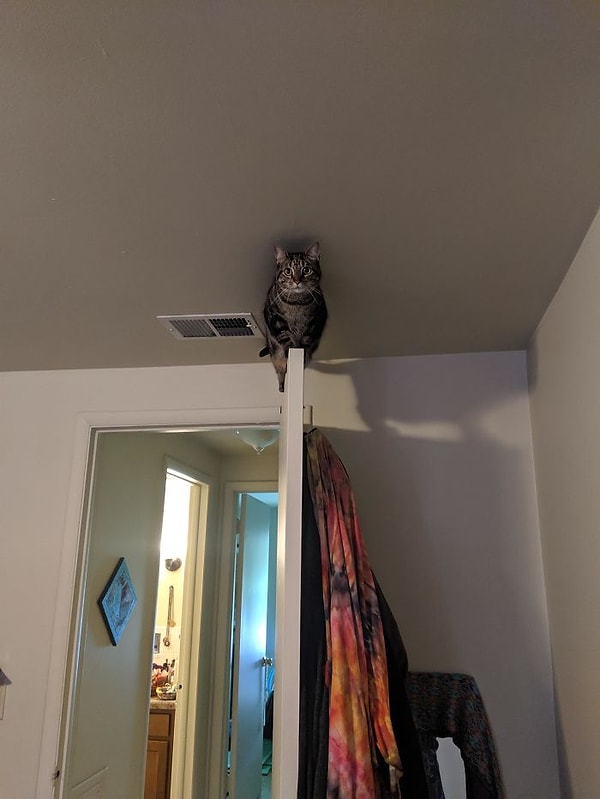 14. Ну.. Если тебе там комфортно, тогда ладно