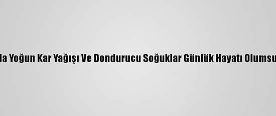 Almanya'da Yoğun Kar Yağışı Ve Dondurucu Soğuklar Günlük Hayatı Olumsuz Etkiliyor