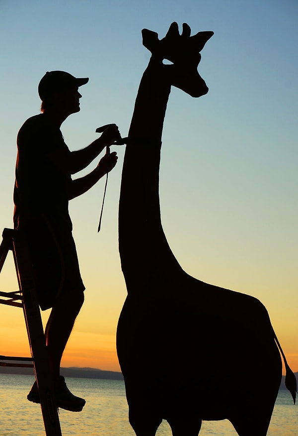 15. Подготовка