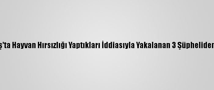 Kahramanmaraş'ta Hayvan Hırsızlığı Yaptıkları İddiasıyla Yakalanan 3 Şüpheliden 2'Si Tutuklandı