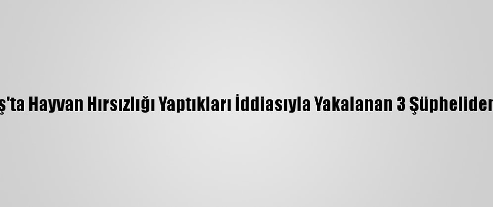 Kahramanmaraş'ta Hayvan Hırsızlığı Yaptıkları İddiasıyla Yakalanan 3 Şüpheliden 2'Si Tutuklandı