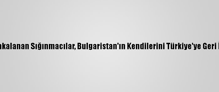 Kırklareli'nde Yakalanan Sığınmacılar, Bulgaristan'ın Kendilerini Türkiye'ye Geri İttiğini İddia Etti