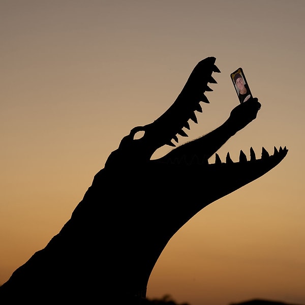 9. Последнее свидание