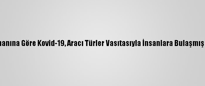 Dsö Uzmanına Göre Kovid-19, Aracı Türler Vasıtasıyla İnsanlara Bulaşmış Olabilir