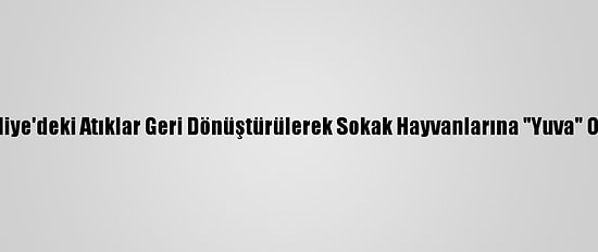 Külliye'deki Atıklar Geri Dönüştürülerek Sokak Hayvanlarına "Yuva" Oldu