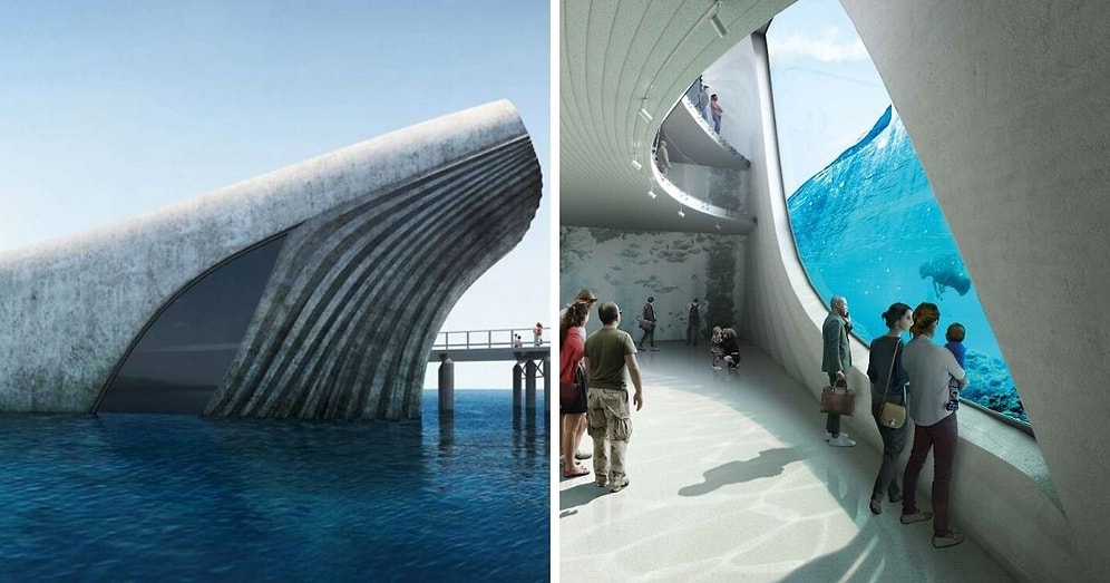 Новая морская обсерватория в форме кита позволит посетителям заглянуть в самое сердце моря