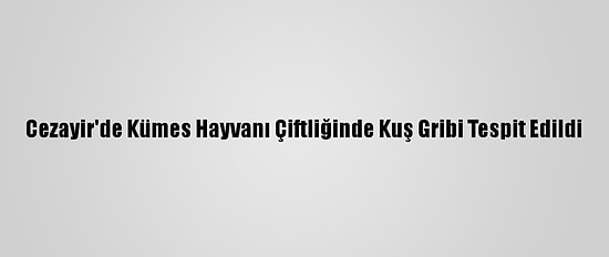 Cezayir'de Kümes Hayvanı Çiftliğinde Kuş Gribi Tespit Edildi
