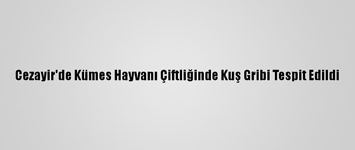 Cezayir'de Kümes Hayvanı Çiftliğinde Kuş Gribi Tespit Edildi