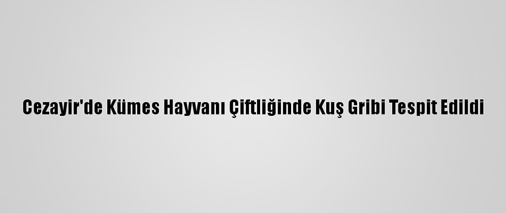 Cezayir'de Kümes Hayvanı Çiftliğinde Kuş Gribi Tespit Edildi