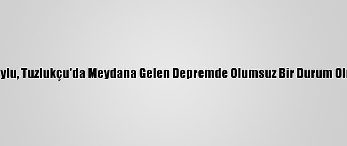 İçişleri Bakanı Soylu, Tuzlukçu'da Meydana Gelen Depremde Olumsuz Bir Durum Olmadığını Açıkladı