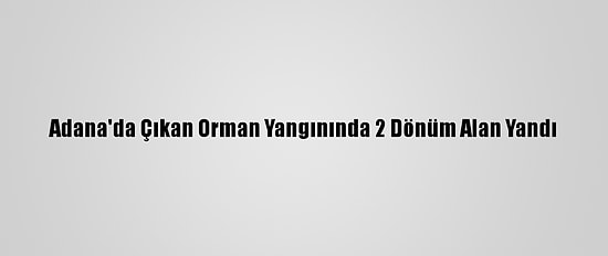 Adana'da Çıkan Orman Yangınında 2 Dönüm Alan Yandı