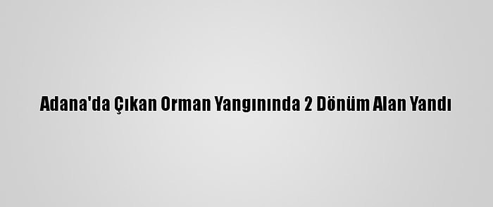 Adana'da Çıkan Orman Yangınında 2 Dönüm Alan Yandı