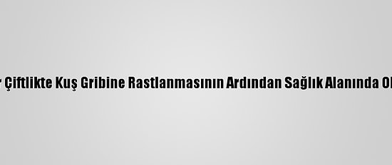 Cezayir'de Bir Çiftlikte Kuş Gribine Rastlanmasının Ardından Sağlık Alanında Ohal İlan Edildi