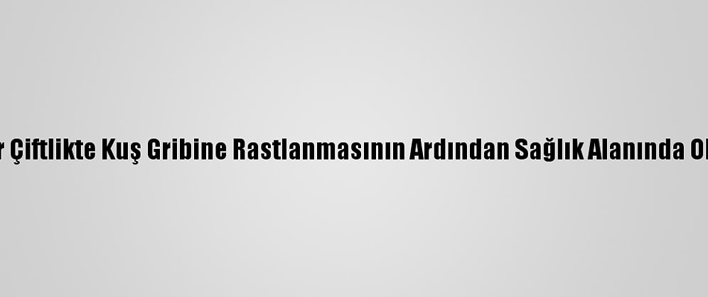 Cezayir'de Bir Çiftlikte Kuş Gribine Rastlanmasının Ardından Sağlık Alanında Ohal İlan Edildi