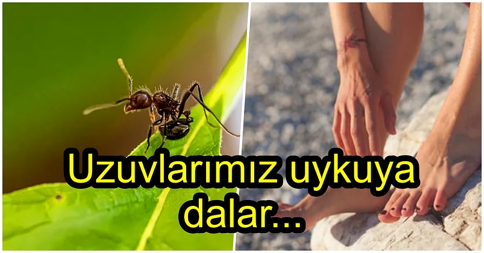 Zaman Zaman Vücudumuzun Çeşitli Yerlerinde Olan Karıncalanma Hissinin Sebebi Nedir?
