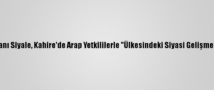 Libya Dışişleri Bakanı Siyale, Kahire'de Arap Yetkililerle "Ülkesindeki Siyasi Gelişmeleri" Değerlendirdi