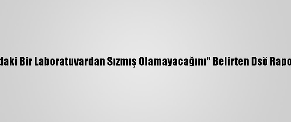 ABD, "Kovid-19'Un Vuhan'daki Bir Laboratuvardan Sızmış Olamayacağını" Belirten Dsö Raporunu Detaylı İnceleyecek