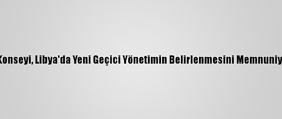 Bm Güvenlik Konseyi, Libya'da Yeni Geçici Yönetimin Belirlenmesini Memnuniyetle Karşıladı