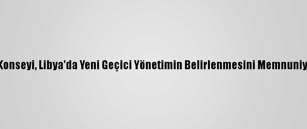 Bm Güvenlik Konseyi, Libya'da Yeni Geçici Yönetimin Belirlenmesini Memnuniyetle Karşıladı