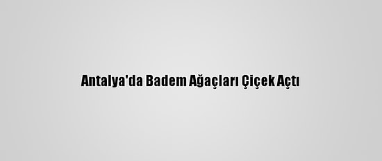 Antalya'da Badem Ağaçları Çiçek Açtı