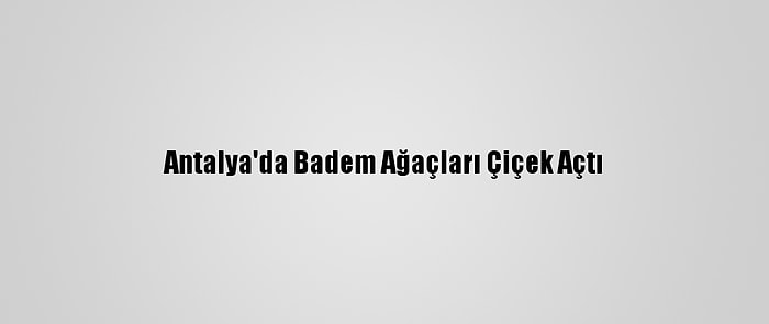 Antalya'da Badem Ağaçları Çiçek Açtı