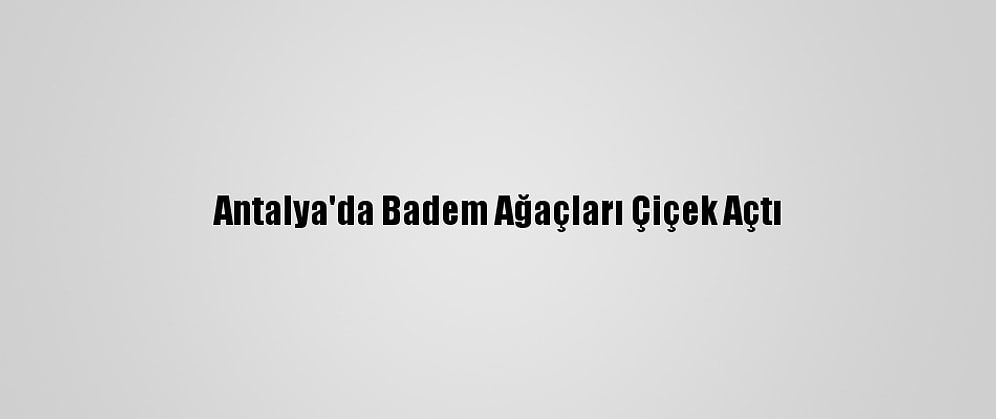 Antalya'da Badem Ağaçları Çiçek Açtı