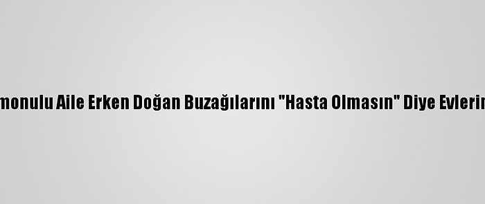 Kastamonulu Aile Erken Doğan Buzağılarını "Hasta Olmasın" Diye Evlerine Aldı